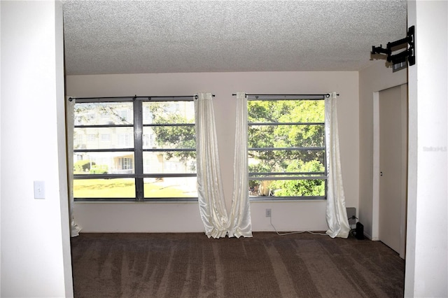 carpeted empty room with a textured ceiling and a healthy amount of sunlight