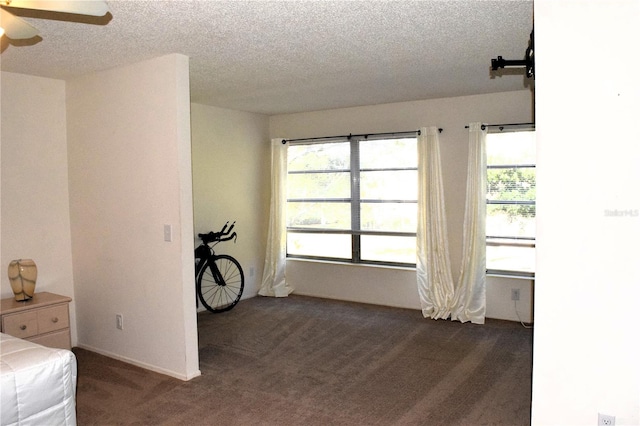 interior space featuring dark colored carpet, ceiling fan, and a textured ceiling