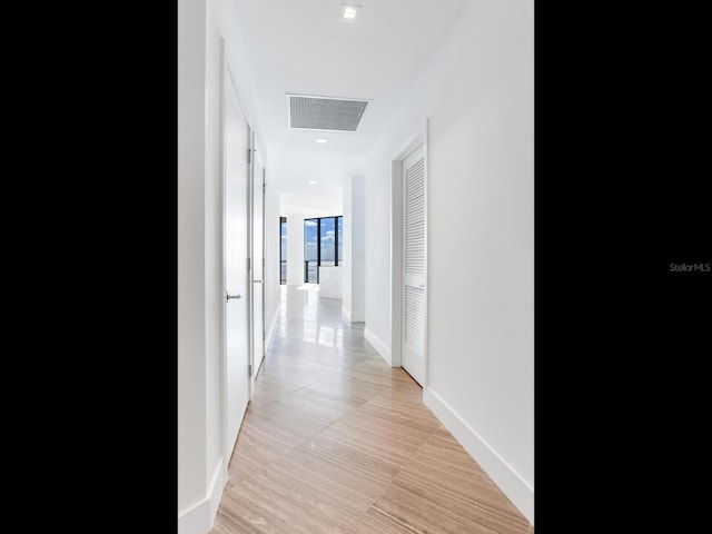 2912 W Santiago St Unit 2204, Tampa, FL 33629 - hall featuring baseboards