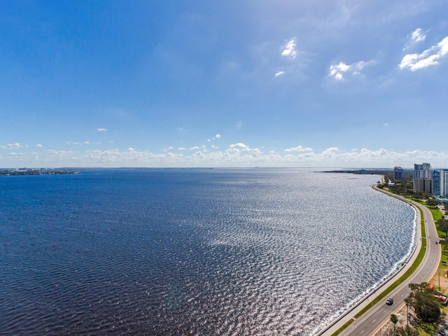 2912 W Santiago St Unit 2204, Tampa, FL 33629 - water view