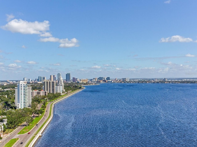 2912 W Santiago St Unit 2204, Tampa, FL 33629 - water view featuring skyline