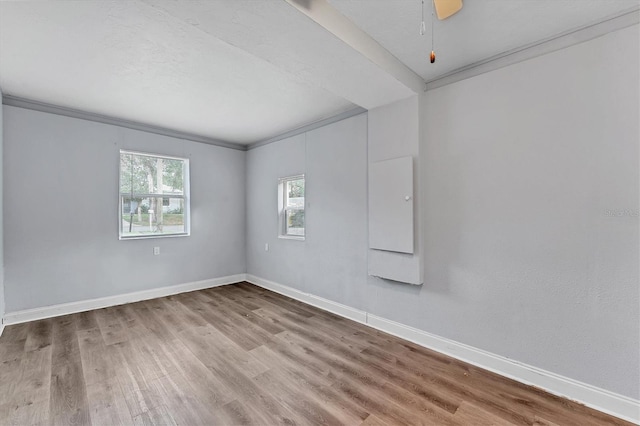 spare room with hardwood / wood-style floors, ceiling fan, and ornamental molding