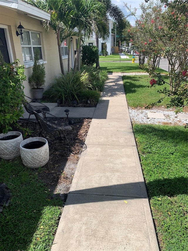 3402 W Obispo St, Tampa, FL 33629 - surrounding community with a yard
