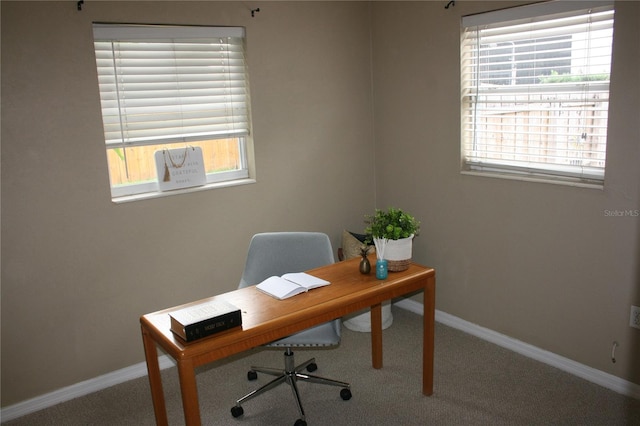 3402 W Obispo St, Tampa, FL 33629 - home office with plenty of natural light and carpet