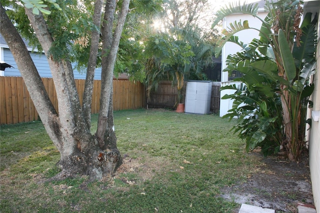 3402 W Obispo St, Tampa, FL 33629 - view of yard