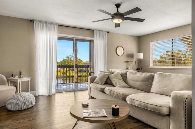 living room featuring hardwood / wood-style floors, ceiling fan, and a textured ceiling