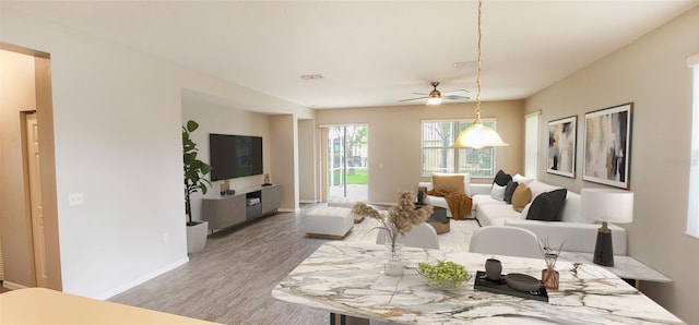 living room featuring ceiling fan and wood-type flooring