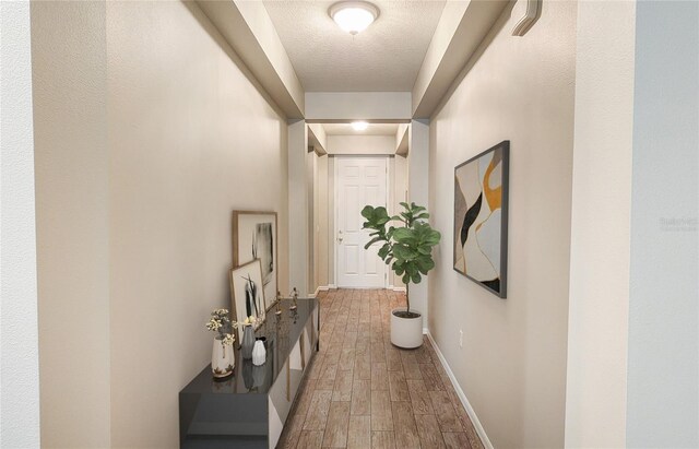 107 Slipper Key Rd, Apollo Beach, FL 33572 - hall with wood finished floors, baseboards, and a textured ceiling
