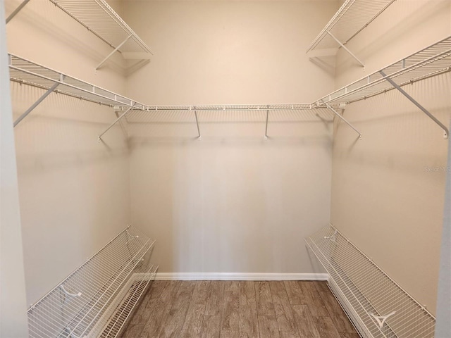 spacious closet with hardwood / wood-style flooring