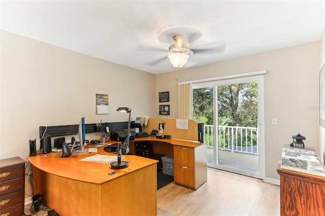 home office featuring ceiling fan and light wood-type flooring