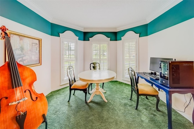 1135 Candler Rd, Clearwater, FL 33765 - photo 28