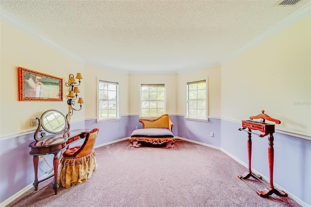 1135 Candler Rd, Clearwater, FL 33765 - photo 43