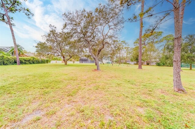 1135 Candler Rd, Clearwater, FL 33765 - photo 86
