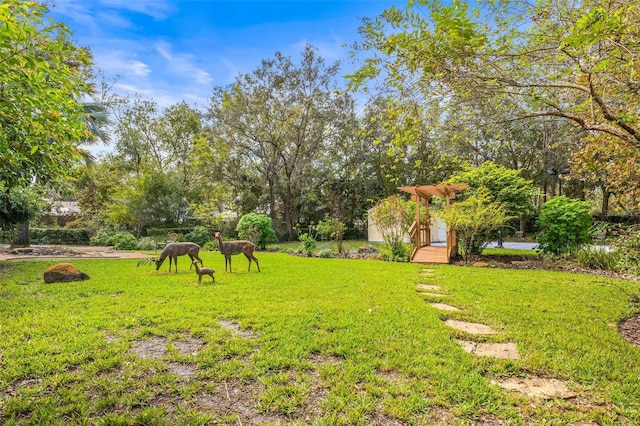 view of yard featuring a rural view