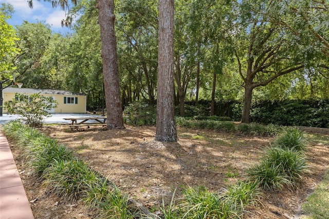 2501 Rustic Oaks Dr, Lutz, FL 33559 - photo 71