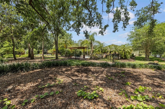 2501 Rustic Oaks Dr, Lutz, FL 33559 - photo 78
