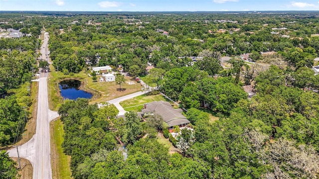 2501 Rustic Oaks Dr, Lutz, FL 33559 - photo 82