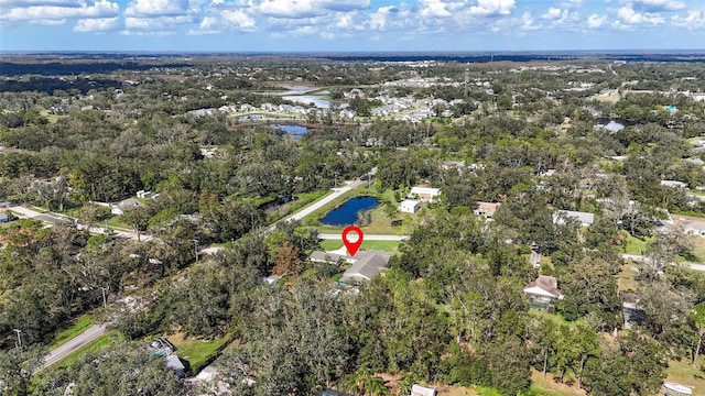 2501 Rustic Oaks Dr, Lutz, FL 33559 - photo 84