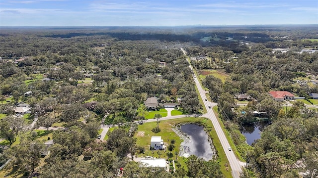 2501 Rustic Oaks Dr, Lutz, FL 33559 - photo 85