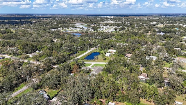 2501 Rustic Oaks Dr, Lutz, FL 33559 - photo 87