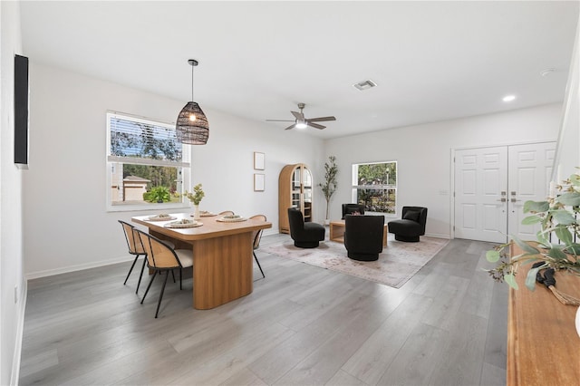 dining space with ceiling fan and light wood-type flooring