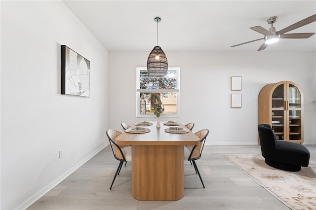 dining area featuring ceiling fan and light wood-type flooring