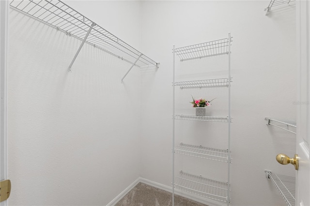 spacious closet with carpet floors