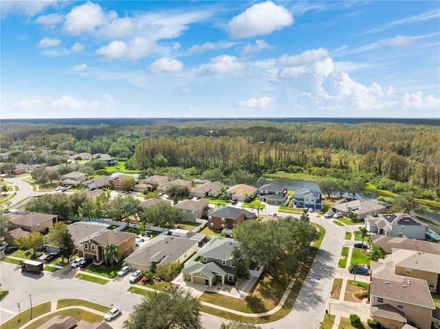 bird's eye view