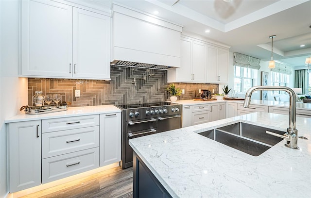 kitchen with white cabinetry, sink, premium range hood, decorative backsplash, and high end stainless steel range