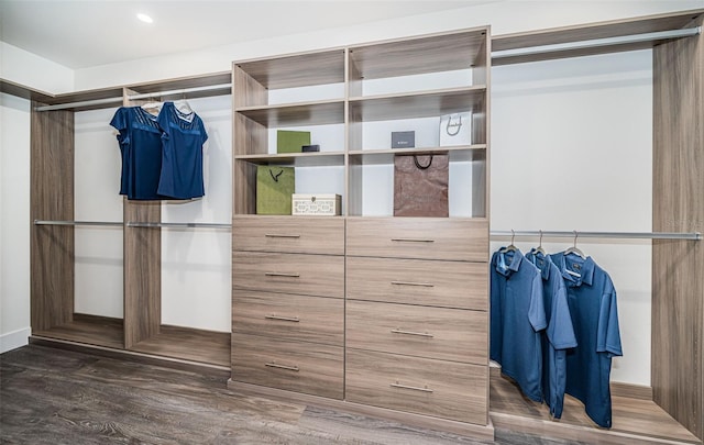 walk in closet with dark wood-type flooring