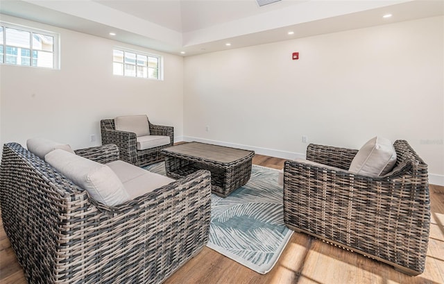 living room featuring wood-type flooring