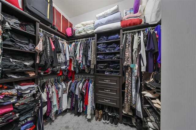 spacious closet featuring carpet flooring