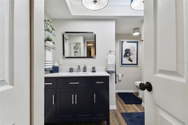 bathroom with hardwood / wood-style floors, vanity, and toilet