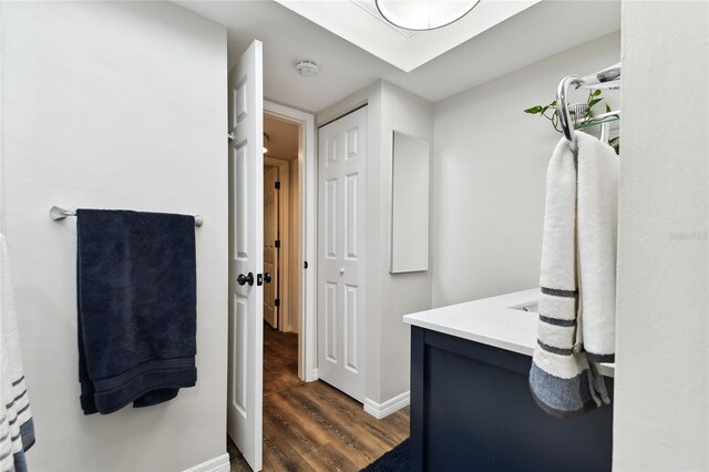 bathroom with wood-type flooring and vanity