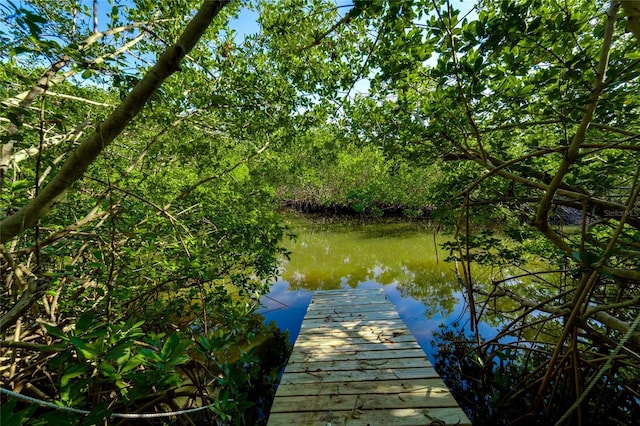 view of dock with a water view