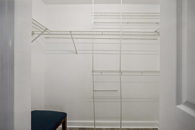 view of walk in closet