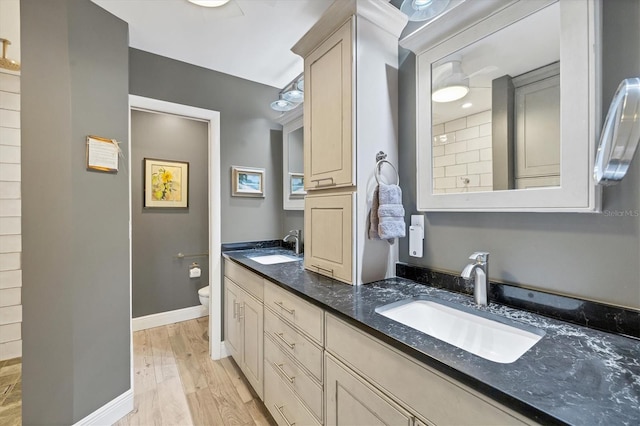 bathroom featuring vanity, wood-type flooring, and toilet