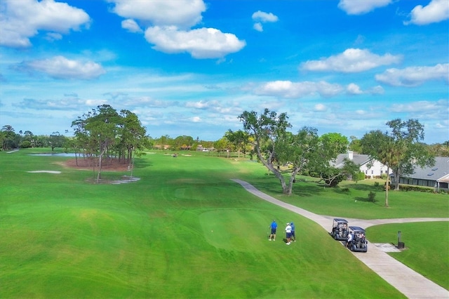 view of community with a lawn