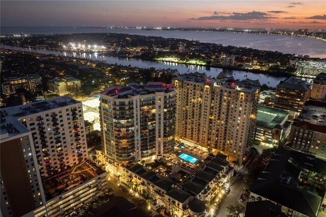 450 Knights Run Ave Unit 407, Tampa, FL 33602 - city view featuring a large body of water and a notable bridge