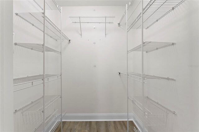 450 Knights Run Ave Unit 407, Tampa, FL 33602 - walk in closet featuring wood finished floors