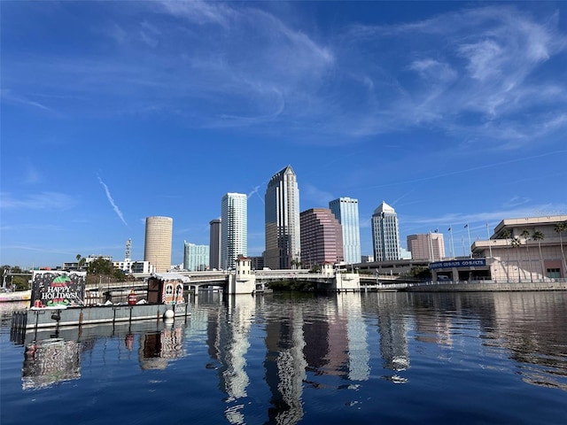450 Knights Run Ave Unit 407, Tampa, FL 33602 - water view featuring city skyline