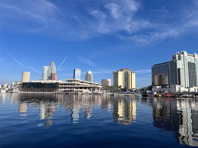 450 Knights Run Ave Unit 407, Tampa, FL 33602 - water view featuring city skyline