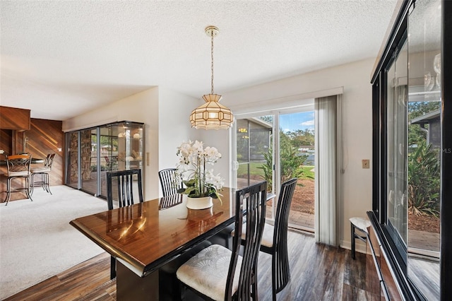 dining space with dark wood-type flooring and a textured ceiling