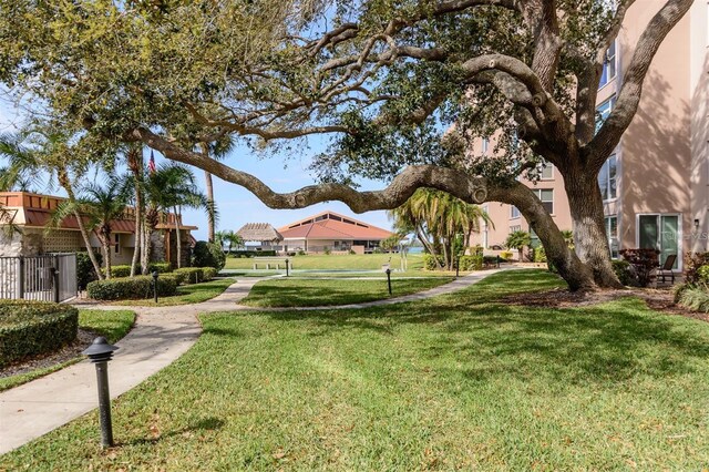 view of community with a lawn