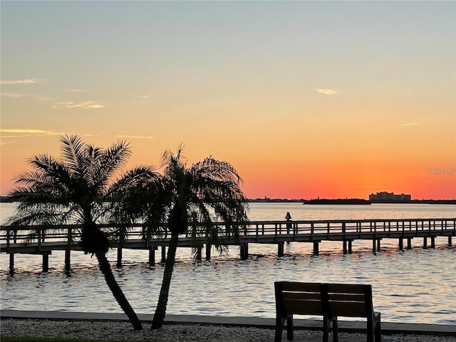632 Edgewater Dr Unit 532, Dunedin, FL 34698 - dock featuring a water view