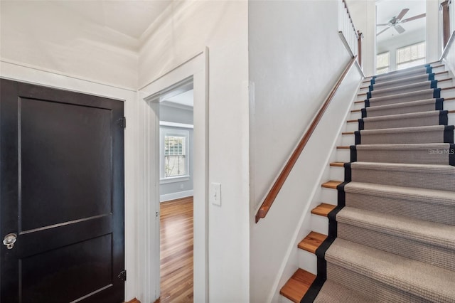 staircase with hardwood / wood-style floors