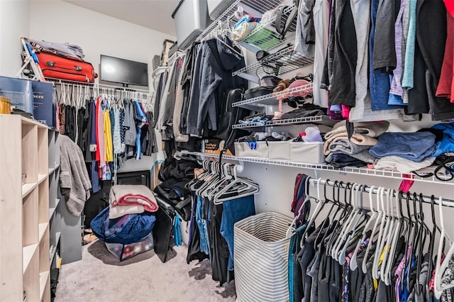 spacious closet featuring carpet flooring