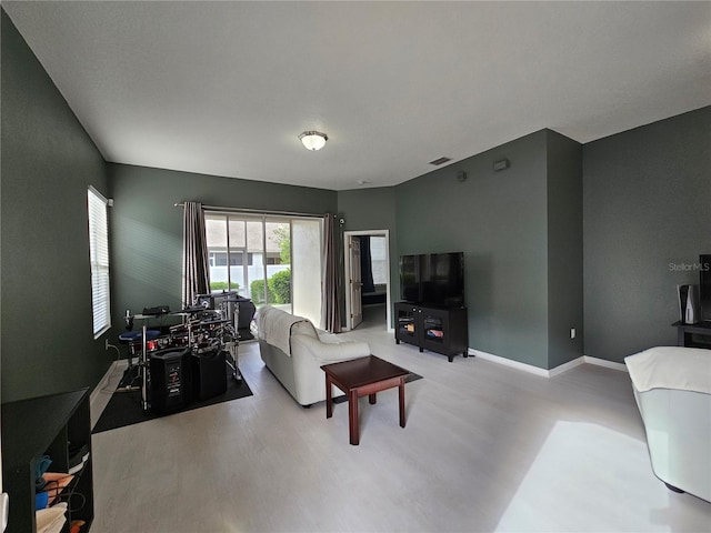 living room with wood-type flooring