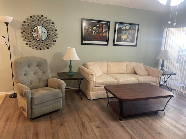 living room featuring hardwood / wood-style flooring