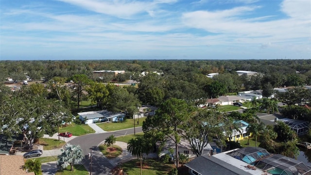 1042 Idlewild Dr N, Dunedin, FL 34698 - aerial perspective of suburban area